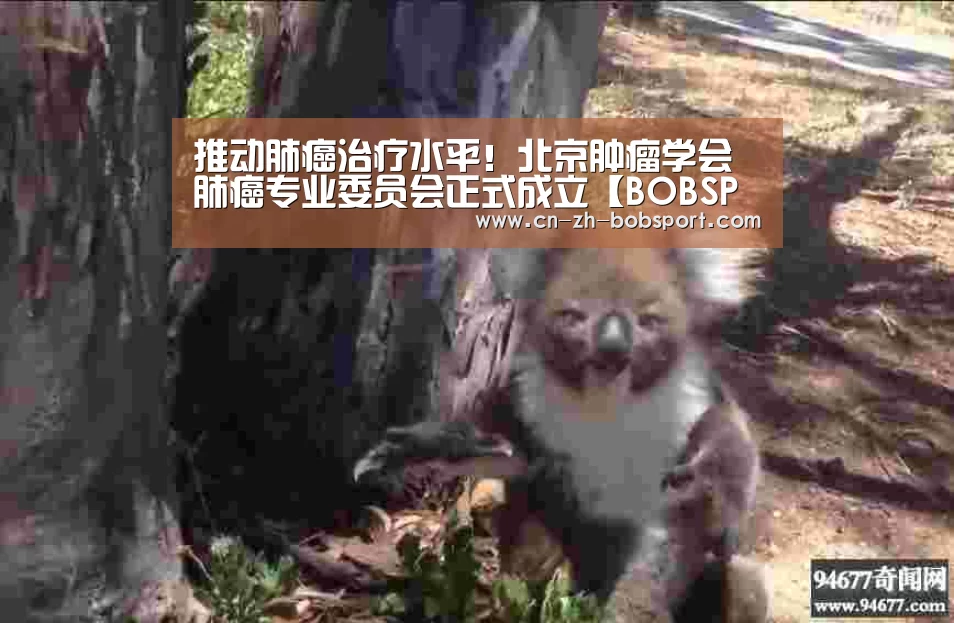 BOB体育