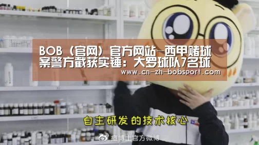 BOB（官网）官方网站