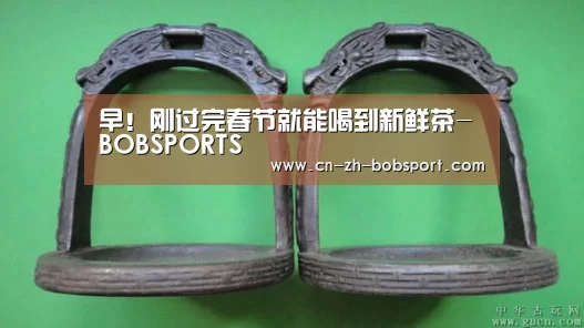 BOB（官网）官方网站