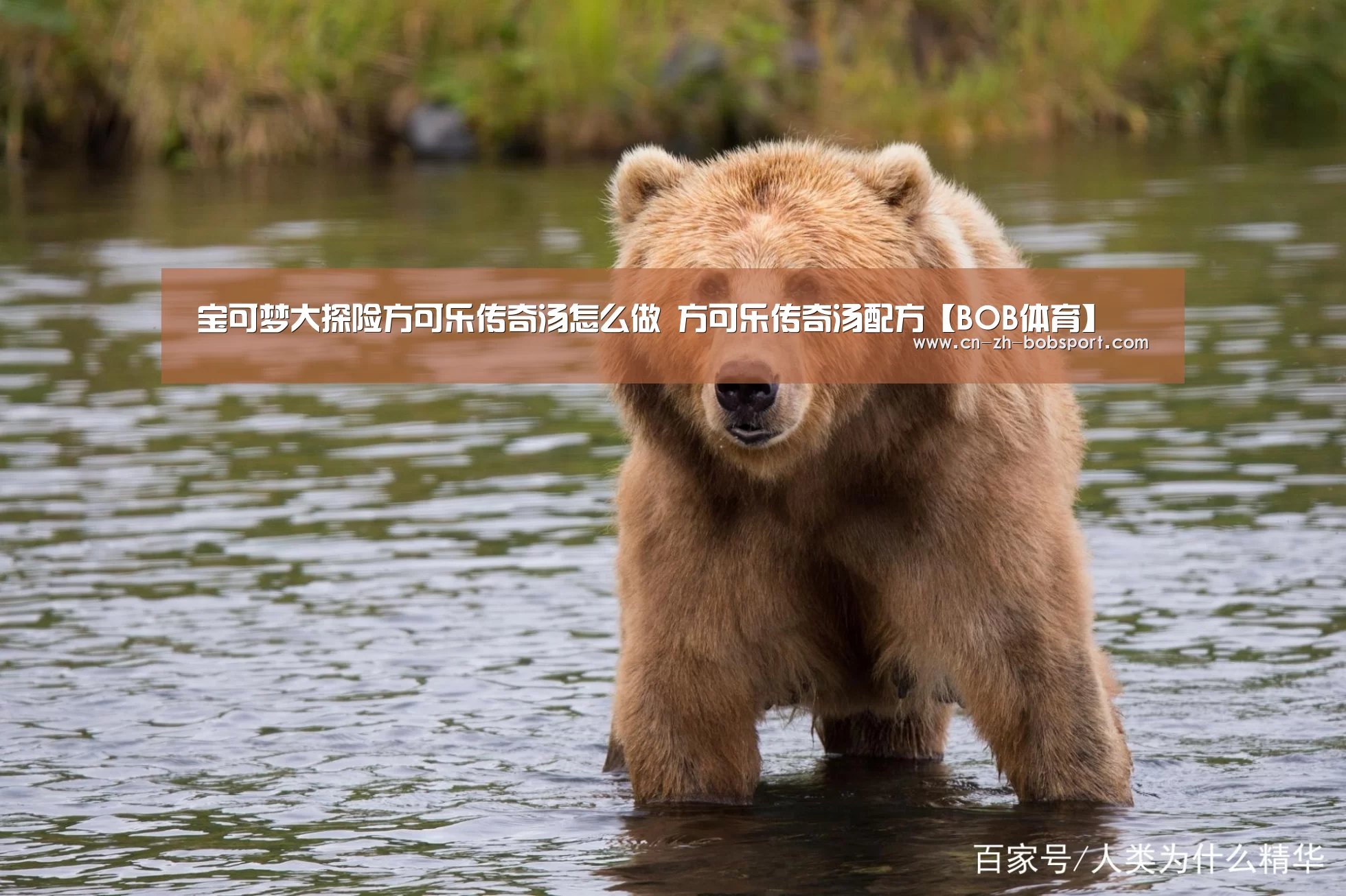 BOB（官网）官方网站
