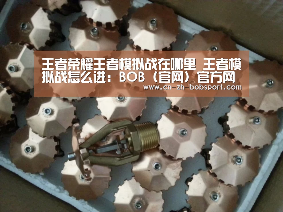 BOB（官网）官方网站
