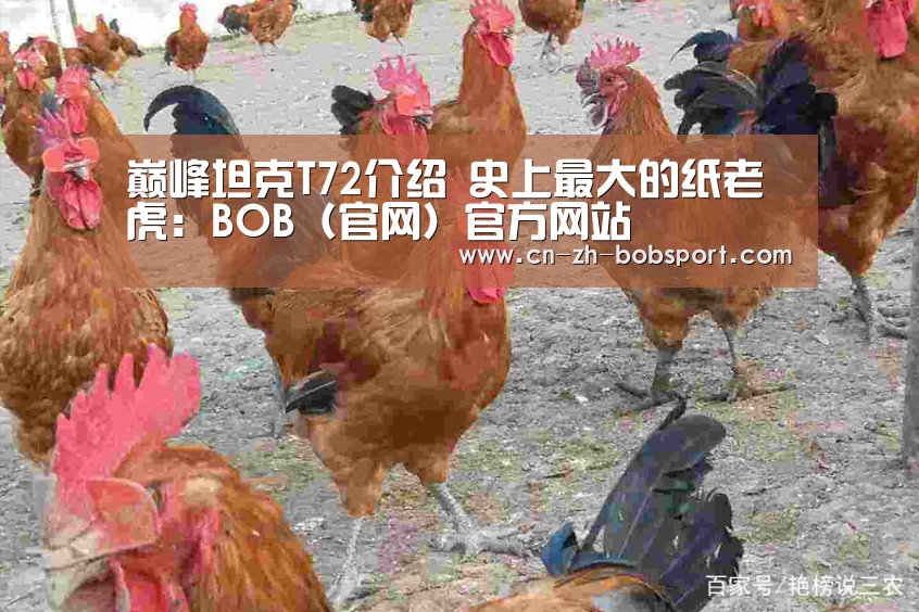 BOB（官网）官方网站