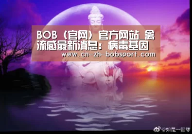 BOB体育