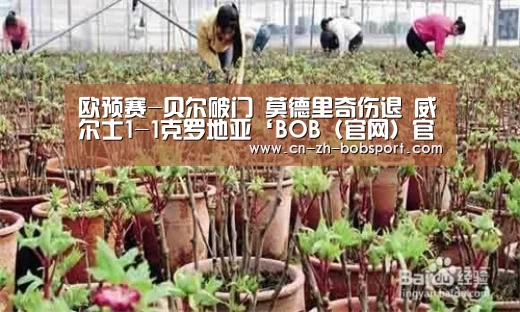 BOB（官网）官方网站