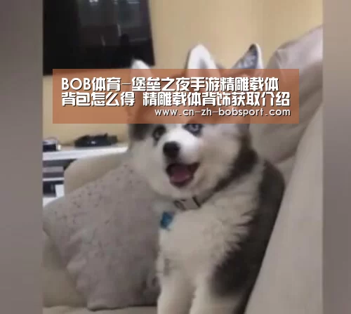 BOB体育-堡垒之夜手游精雕载体背包怎么得 精雕载体背饰获取介绍(图2) BOB(官网)官方网站