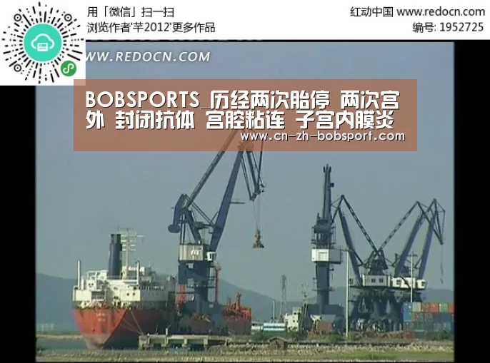 BOB（官网）官方网站