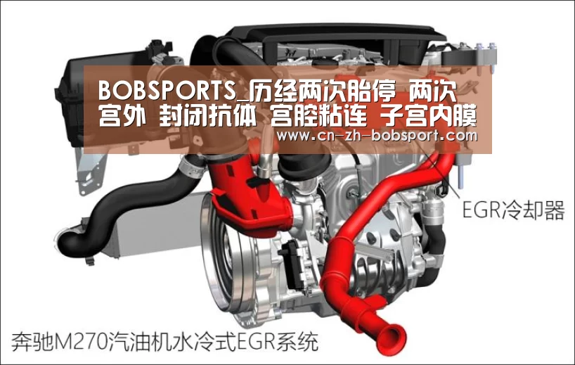 BOBSPORTS_历经两次胎停 两次宫外 封闭抗体 宫腔粘连 子宫内膜炎 三促三移顺利Nt过关(图4)