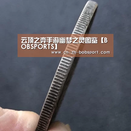 BOB（官网）官方网站