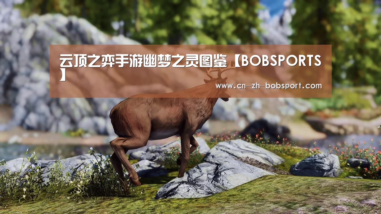 BOB体育