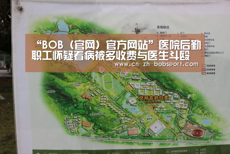BOB（官网）官方网站