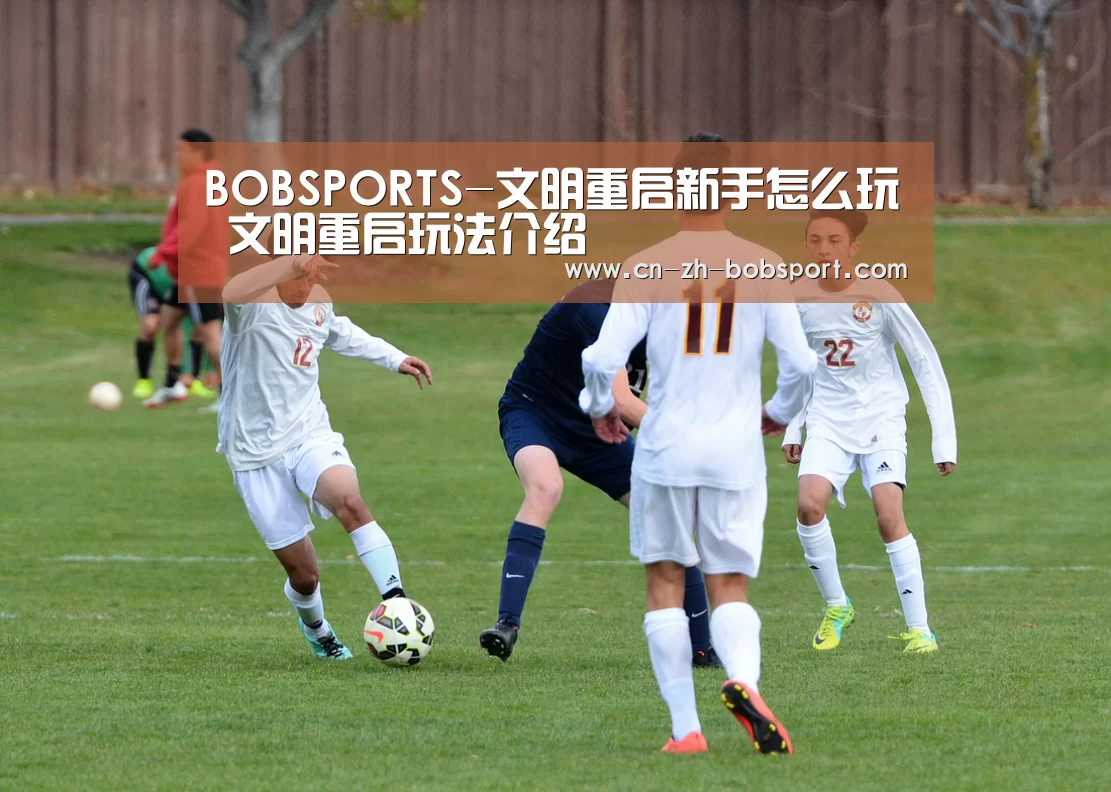 BOB体育