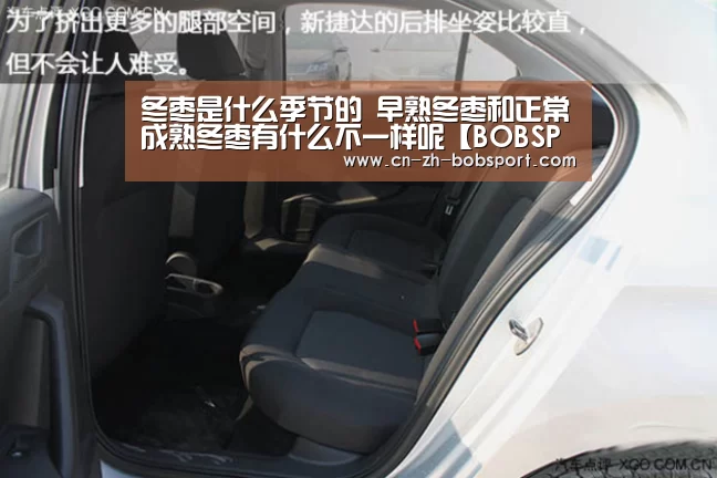 BOB（官网）官方网站