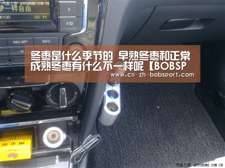 BOB体育