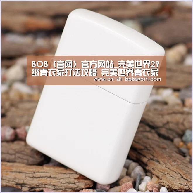 BOB(官网)官方网站_完美世界29级青衣冢打法攻略 完美世界青衣冢快速通过方法(图4) BOB(官网)官方网站